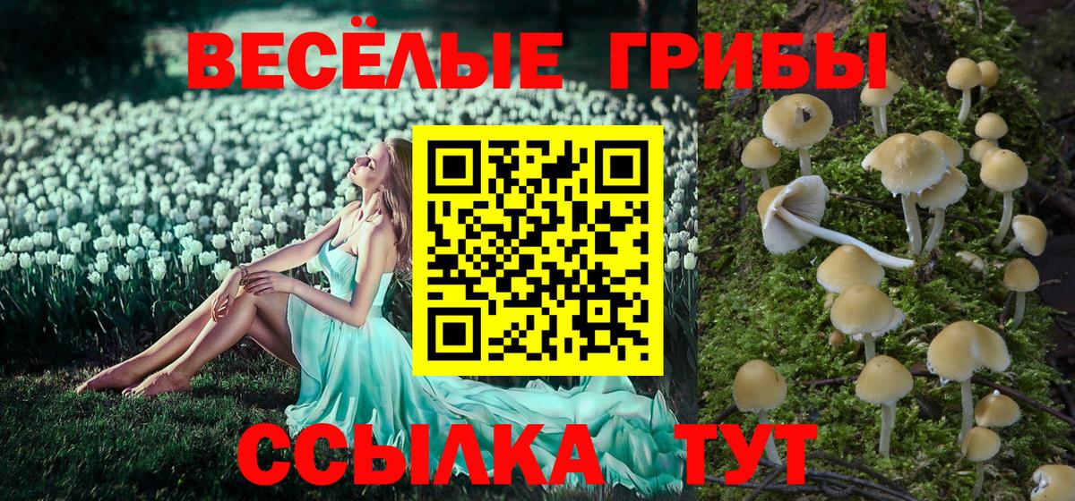 Псилоцибиновые грибы Magic Shrooms Волоколамск